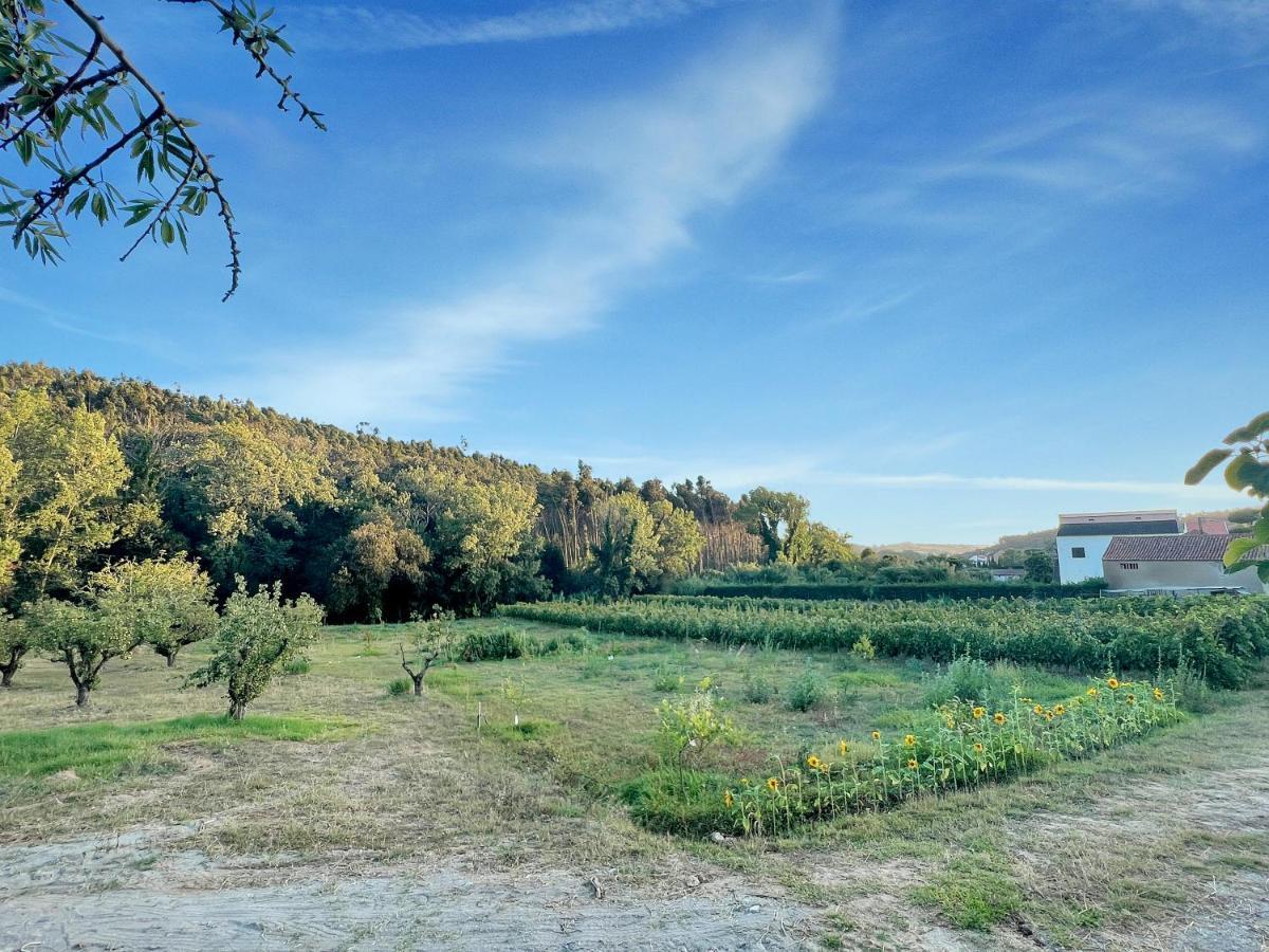 לינה וארוחת בוקר São Bartolomeu Quinta Mourada מראה חיצוני תמונה